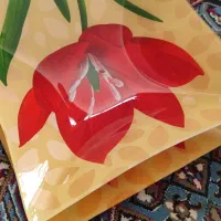 ظروف پذیرایی ارکوپال وچینی وکریستال|ظروف سرو و پذیرایی|قرچک, زیبا شهر|دیوار