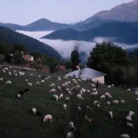 فروش زمین مسکونی