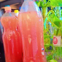 ترشی خانگی و آبغوره ۱۶۰|خوردنی و آشامیدنی|مشکیندشت, |دیوار