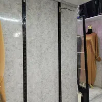 رگال و مانکن و دزدگیر