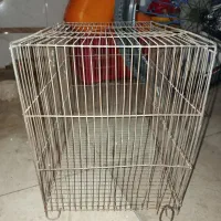 قفس پرنده