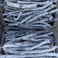 زغال پسته(سرشاخ-قلم)|عمده‌فروشی|سیرجان, |دیوار