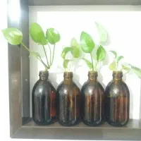 دیجیتال صوتی گل  گُل|صوتی و تصویری|شیراز, قدوسی شرقی|دیوار