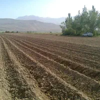 ۸۵۰۰متر زمین