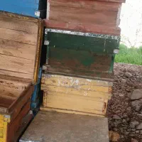 کندو وقاب عسل