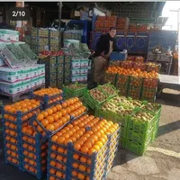انگور شانی دیم شاتوت البالو گیلاس میوه مجالس کشمش|خوردنی و آشامیدنی|تهران, شهرک شریعتی|دیوار