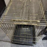 قفس  نو مناسب پرنده طوطی و کاسکو