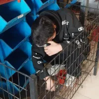 سبدهایپرمارکتی لولایی تاشوباتحمل بارزیاد