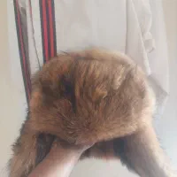 کلاه روسی اصل