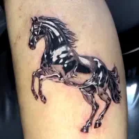 تتو پرند رباط|خدمات آرایشگری و زیبایی|پرند, فاز ۴|دیوار