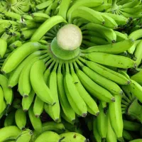 استخدام نیروی کار میوه فروشی|استخدام خدمات فروشگاه و رستوران|حمیدیا, |دیوار