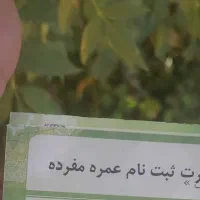 دوعددفیش عمره