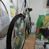 دوچرخه دماوند آساک نو نو سایز26|دوچرخه، اسکیت، اسکوتر|محمدشهر, شهرک پیام (مهرالبرز)|دیوار