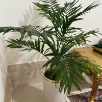 نخل شامادورا