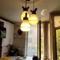 لوستر درحد نو