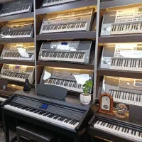 فروش انواع کیبورد|پیانو، کیبورد، آکاردئون|یزد, |دیوار