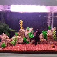 آکواریوم شرکتی شیشه خم K580 دلسا با لوازم