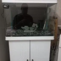 اکواریوم کماد دار