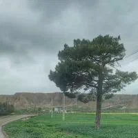 فروش زمین مسکونی تجاری در خواجه نفس
