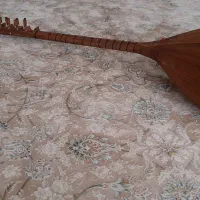 ساز قوپوز|سازهای سنتی|میانه, |دیوار