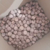 گردو کاغذی|خوردنی و آشامیدنی|مشهد, شهید علی محمدی|دیوار