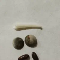 سنگ اصلی تضمینی مهره اصل|جواهرات|شیراز, نصر|دیوار