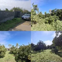 ۶۰۰متر باغ مرکبات چندساله مثمر با سند و انشعابات