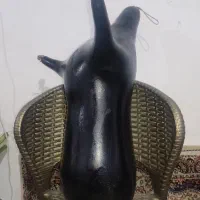 نی انبان|سازهای بادی|بوشهر, |دیوار