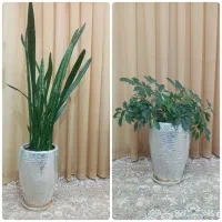 گل و گلدان طبیعی بسیار زیبا