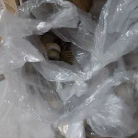 ۲۵۰ ریالی دورنگ