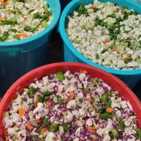 ترشی مخلوط ۵۰تومن