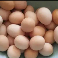 تخم مرع محلی