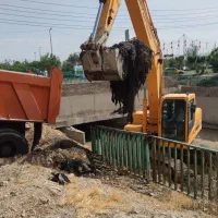 اجاره بیل مکانیکی زنجیری و لاستیکی|خدمات حمل و نقل|ری, دیلمان|دیوار