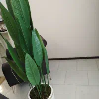 گلدان مصنوعی پرنده بهشت