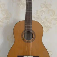 گیتار هافنر آلمان