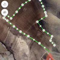 زمین کشاورزی دیم