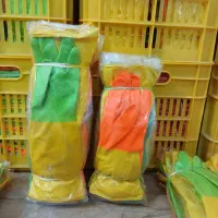 رز مریم ساق کوتاه و بلند|ابزارآلات|سنندج, |دیوار