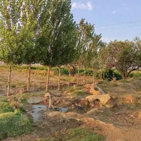 فروش باغ انگور در روستای کرتیل آباد