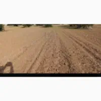 فروشی-یا-معاوضع