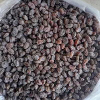 کشمش بیدانه درجه یک تاکستان