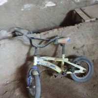 یک عدوچرخه۱۲