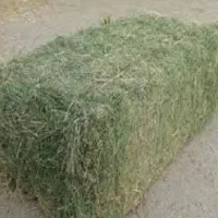 یونجه فروشی