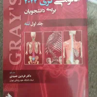 آناتومی گری