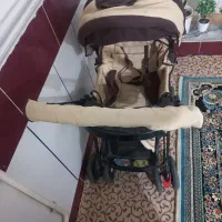 کالسکه|کالسکه و لوازم جانبی|کنگاور, |دیوار