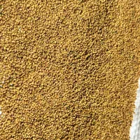 فروش انواع بذر یونجه سردسیر و گرمسیر و معتدل|عمده‌فروشی|ایلخچی, |دیوار