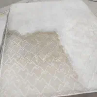 مبل و تخت شویی|خدمات نظافت|رباط‌کریم, رباط‌کریم|دیوار