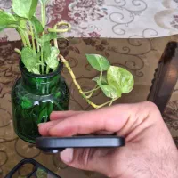 آیفون ۱۶نرمال|موبایل|اصفهان, خانه اصفهان|دیوار