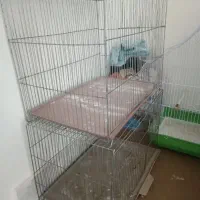 قفس بزرگ پرنده