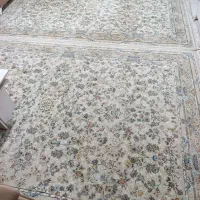 فرش 1200شانه تراکم 3600طرح نیلوفر|فرش|مهاباد (آذربایجان غربی), |دیوار