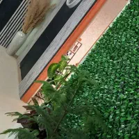 استخدام پزشک|استخدام درمانی، زیبایی، بهداشتی|تهران, تهرانسر مرکزی|دیوار
